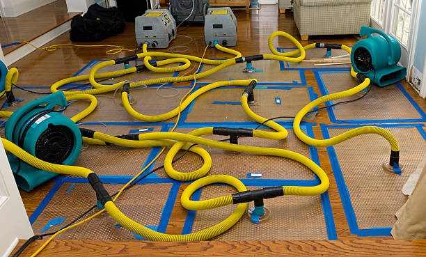 Professional Water Extraction technician working in Palm Beach, FL